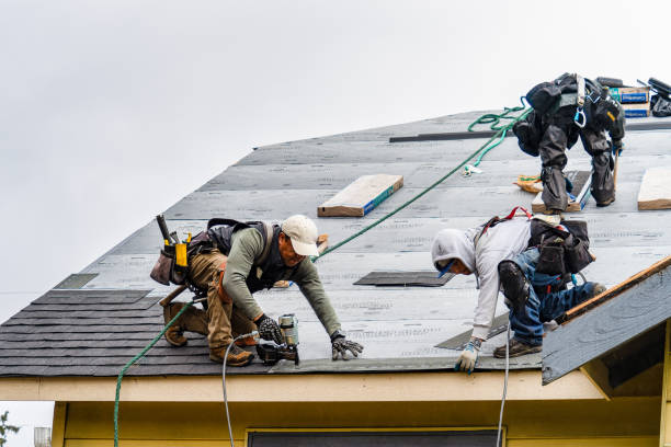 Professional Emergency Roof Repair technician working in Linwood, KS